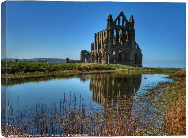 Whitby Abbey with blue skies and reflection  Canvas Print by Sue Walker