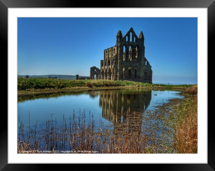 Whitby Abbey with blue skies and reflection  Framed Mounted Print by Sue Walker