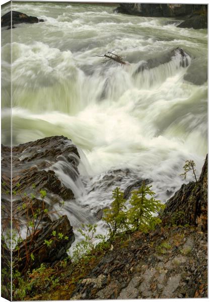 Canadian Rapids, Canada Canvas Print by Mark Llewellyn