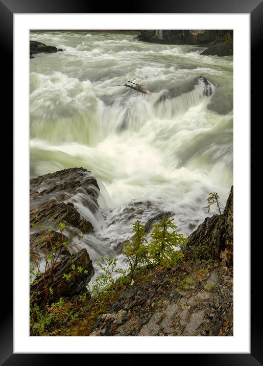 Canadian Rapids, Canada Framed Mounted Print by Mark Llewellyn