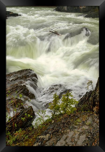 Canadian Rapids, Canada Framed Print by Mark Llewellyn