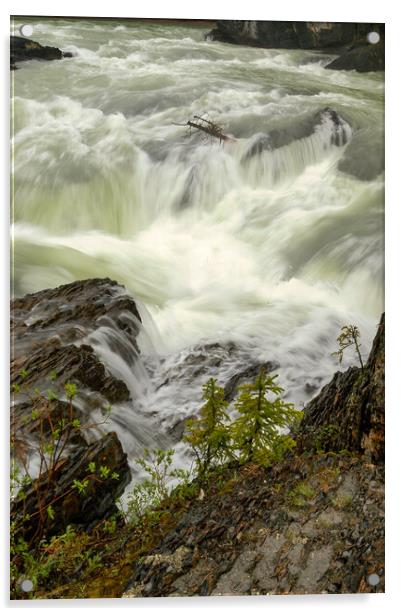 Canadian Rapids, Canada Acrylic by Mark Llewellyn