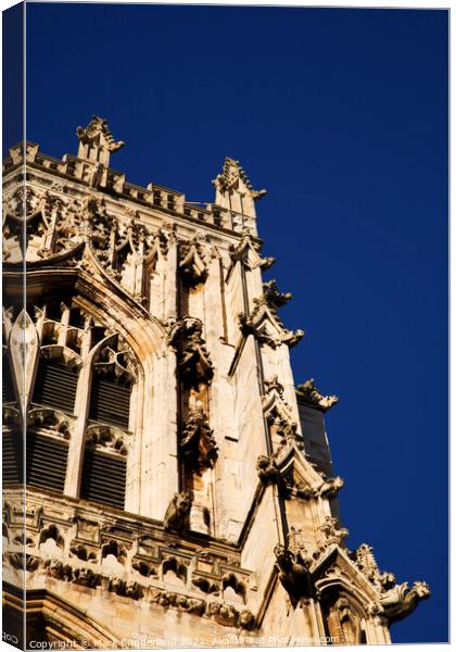 Stone Carving Detail at York Minster Canvas Print by Mark Sunderland