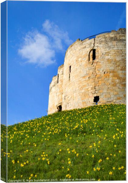 Cliffords Tower at York in Spring Canvas Print by Mark Sunderland