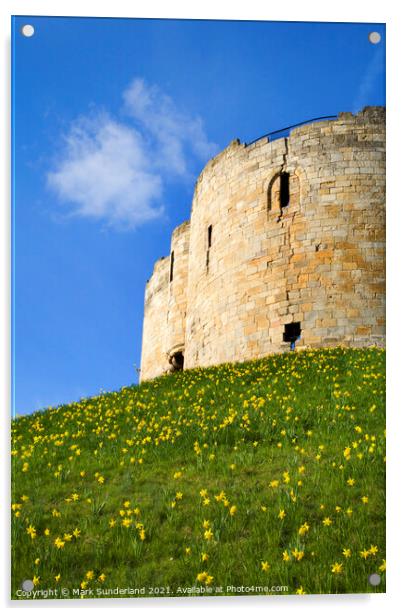 Cliffords Tower at York in Spring Acrylic by Mark Sunderland