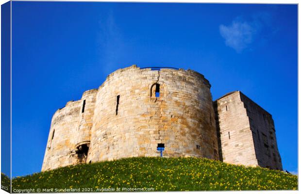 Cliffords Tower at York in Spring Canvas Print by Mark Sunderland