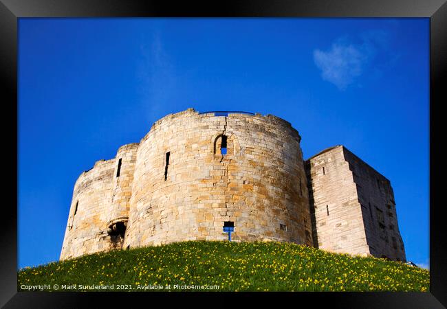 Cliffords Tower at York in Spring Framed Print by Mark Sunderland