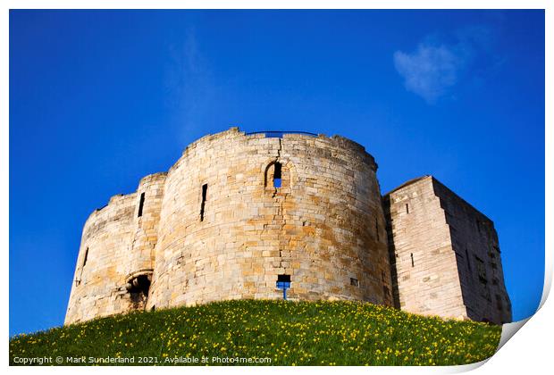 Cliffords Tower at York in Spring Print by Mark Sunderland
