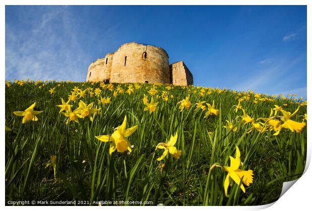 Spring Daffodils at Cliffords Tower Print by Mark Sunderland