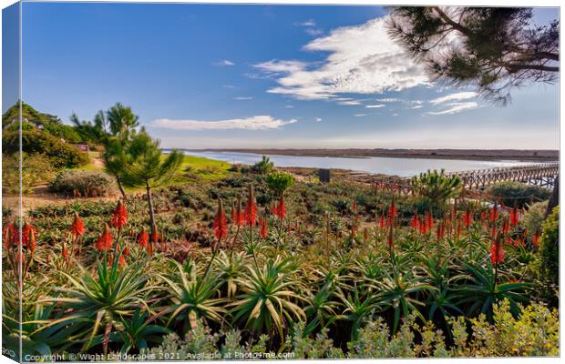 Quinta do Lago The Red Hot Pokers Canvas Print by Wight Landscapes