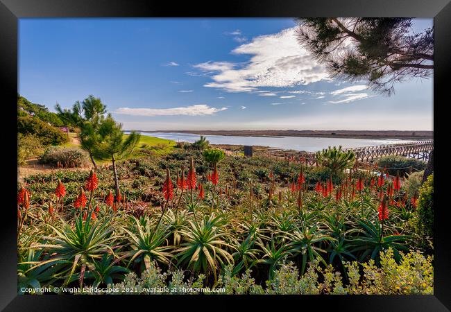 Quinta do Lago The Red Hot Pokers Framed Print by Wight Landscapes