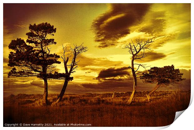 A Midsummers View-Sepia Print by Dave Harnetty