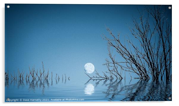 A Blue Moon on the Water Acrylic by Dave Harnetty