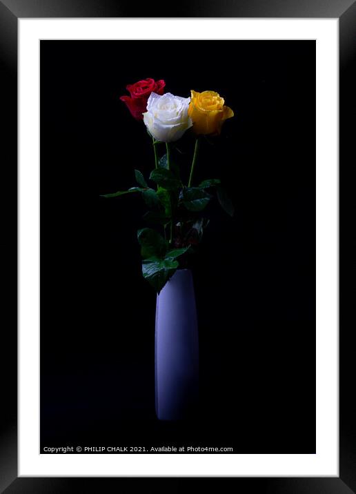 Three Roses in a vase 419  Framed Mounted Print by PHILIP CHALK