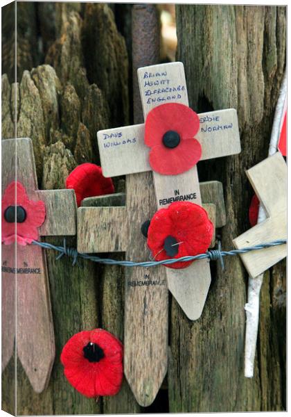 Poppies and Crosses at Hill 62, Zillebeke Canvas Print by Arterra 