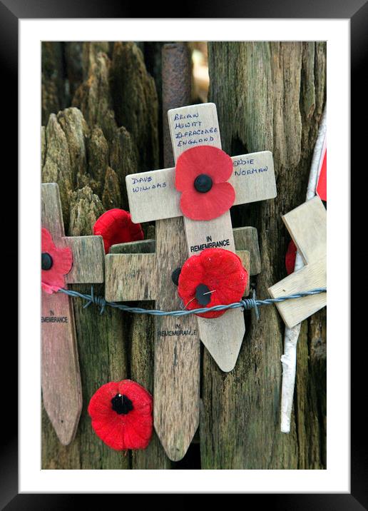 Poppies and Crosses at Hill 62, Zillebeke Framed Mounted Print by Arterra 