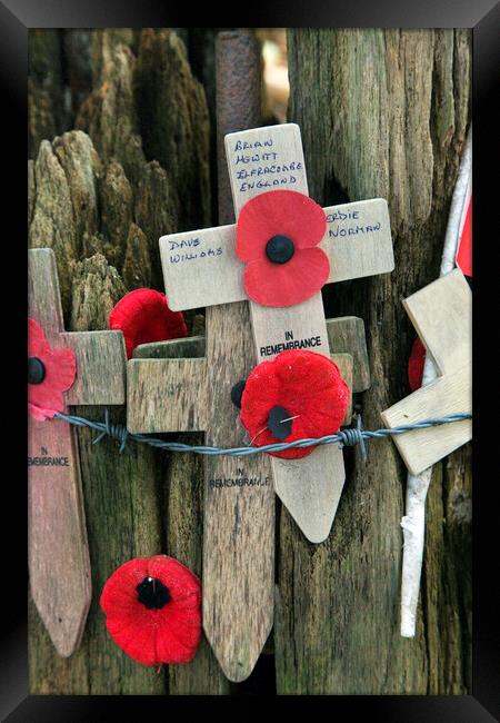Poppies and Crosses at Hill 62, Zillebeke Framed Print by Arterra 