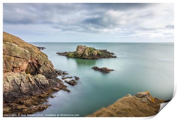 Majestic Ocean Promontory Print by Don Nealon