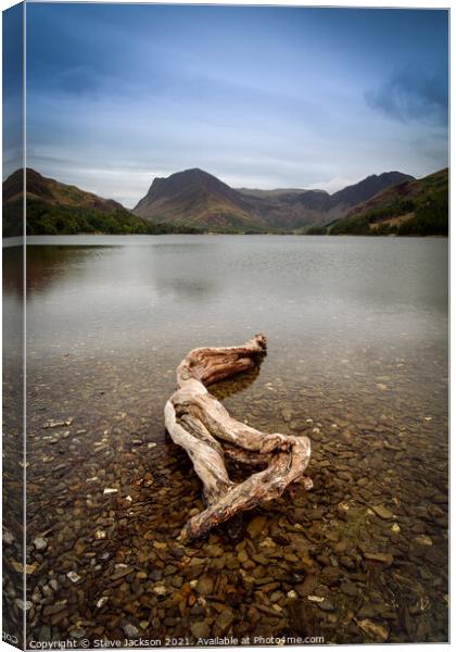 Driftwood on Buttermere lake Canvas Print by Steve Jackson