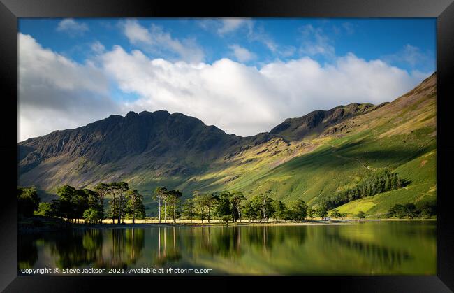 The Pines on Buttermere Framed Print by Steve Jackson