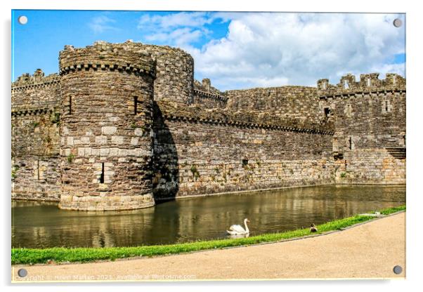Beaumaris Castle 2 Acrylic by Helkoryo Photography