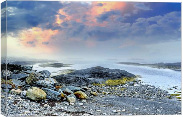 Foggy Coastline in Blue Rocks Nova Scotia  Atlanti Canvas Print by Elaine Manley