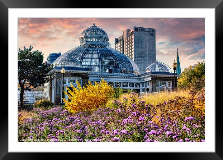 Allen Gardens Floral Conservatory Toronto Canada Framed Mounted Print by Elaine Manley