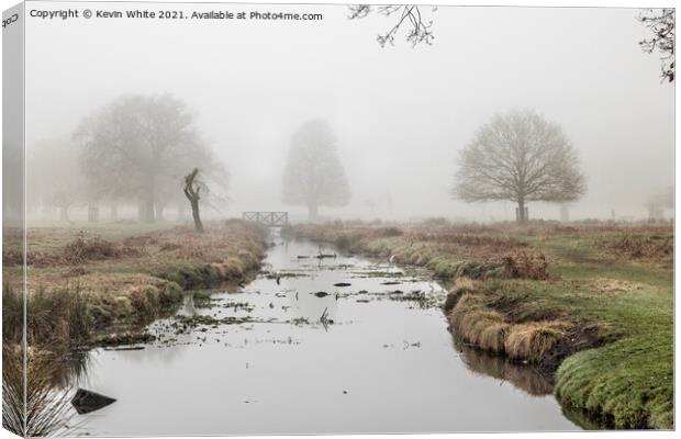 Alone in the mist Canvas Print by Kevin White