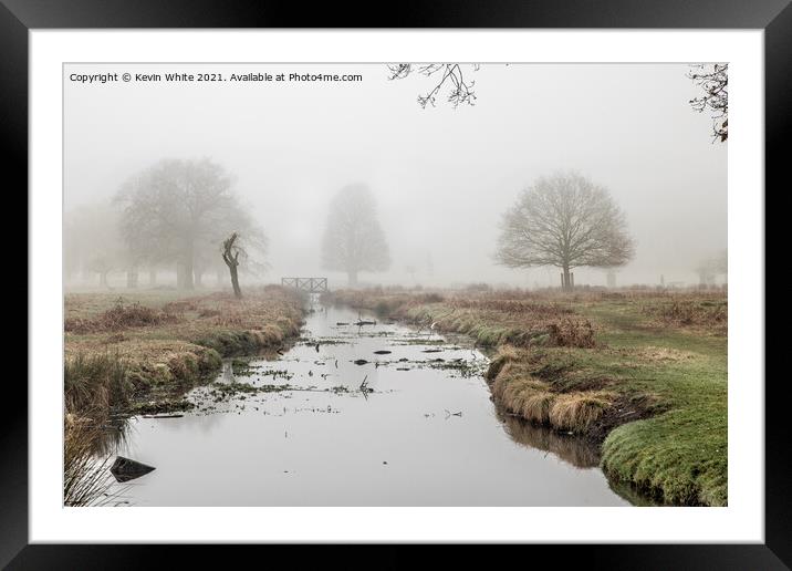 Alone in the mist Framed Mounted Print by Kevin White