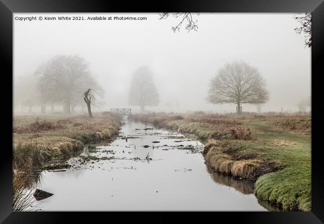 Alone in the mist Framed Print by Kevin White