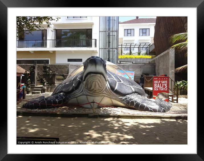 , giant turtle sculpture in Bali beach ,  Framed Mounted Print by Anish Punchayil Sukumaran