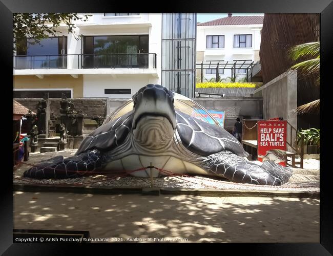, giant turtle sculpture in Bali beach ,  Framed Print by Anish Punchayil Sukumaran