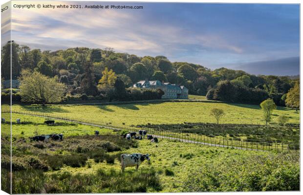 Penrose  farmland and woodland  Cornwall southwest Canvas Print by kathy white