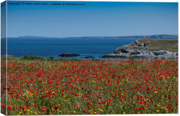 West Pentire ,red poppies,Crantock Beech,  Canvas Print by kathy white