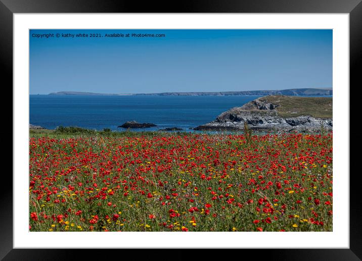 West Pentire ,red poppies,Crantock Beech,  Framed Mounted Print by kathy white