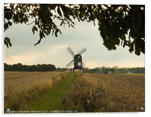 Pitstone Windmill through the tree Acrylic by Elizabeth Debenham