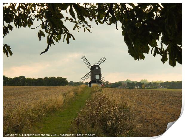 Pitstone Windmill through the tree Print by Elizabeth Debenham