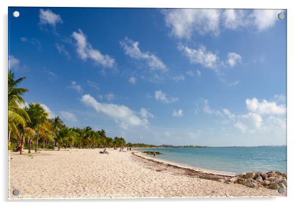 Golden Sands on Virginia Key, Florida, USA Acrylic by Kasia Design