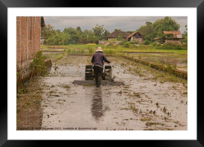 A man plows a village rice field in water on Java Framed Mounted Print by Hanif Setiawan
