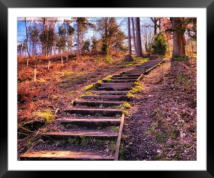 Stairway To ..... Framed Mounted Print by Trevor Camp