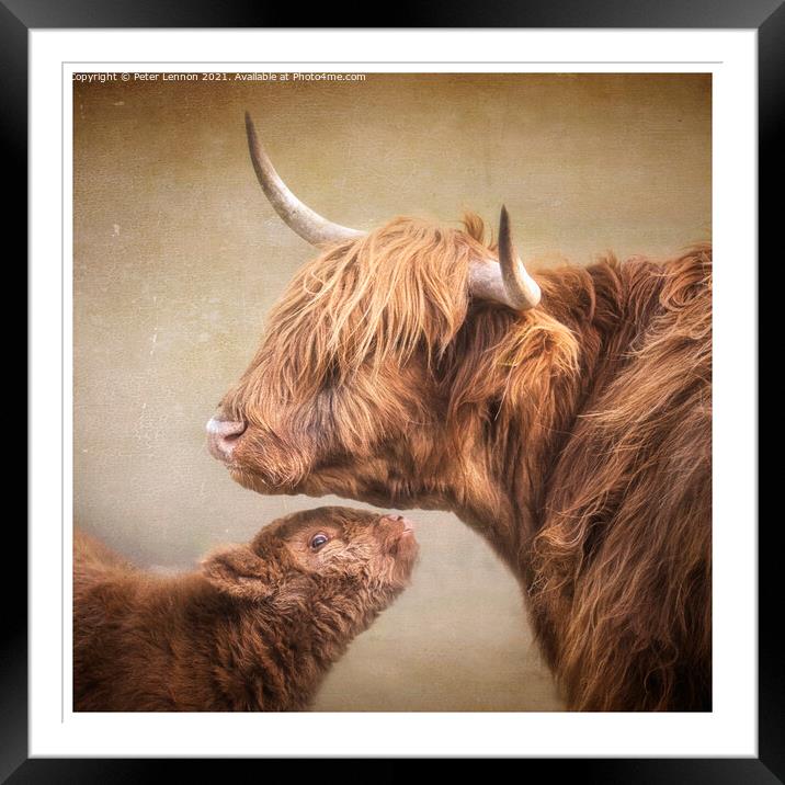 Mother & Baby Framed Mounted Print by Peter Lennon