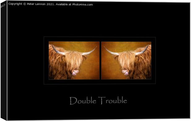 Double Trouble Canvas Print by Peter Lennon
