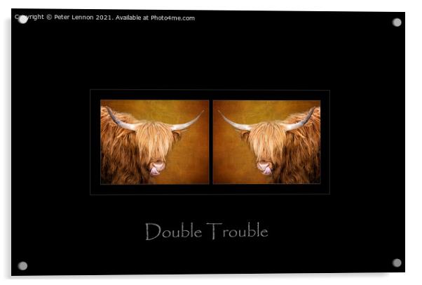 Double Trouble Acrylic by Peter Lennon