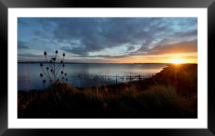 Chichester Harbour dawn Framed Mounted Print by richard jones