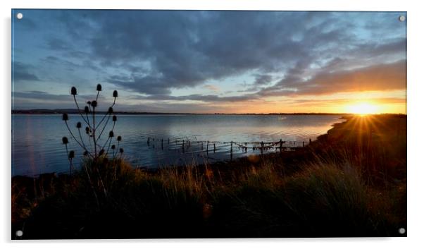 Chichester Harbour dawn Acrylic by richard jones
