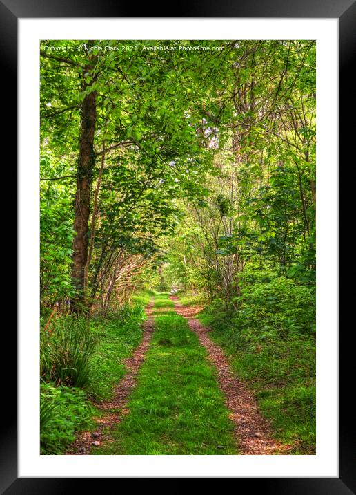 Enchantment of the Woods Framed Mounted Print by Nicola Clark