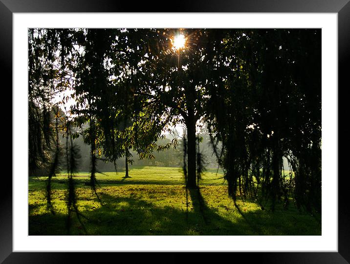 Sunlight and Shade Framed Mounted Print by Rus Ki