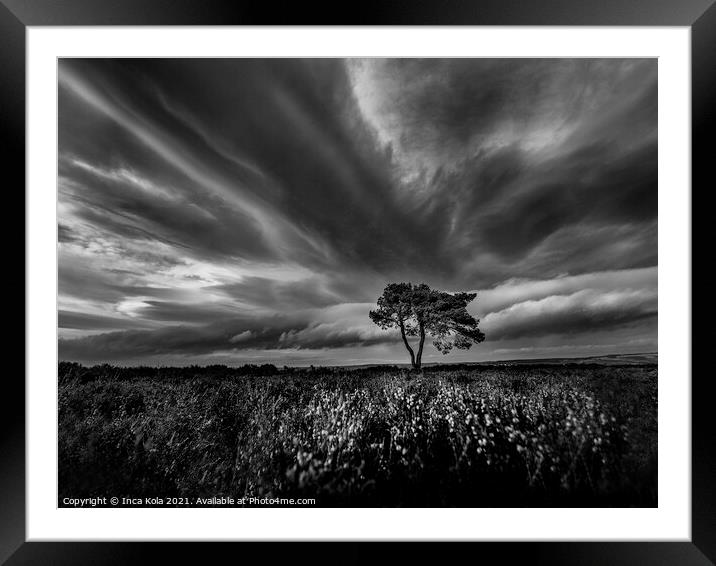 Egton Lonely Tree Under A Dramatic Sky Framed Mounted Print by Inca Kala