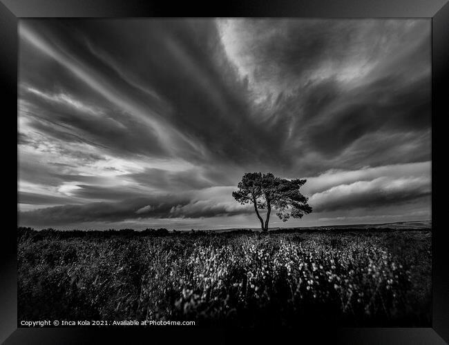 Egton Lonely Tree Under A Dramatic Sky Framed Print by Inca Kala