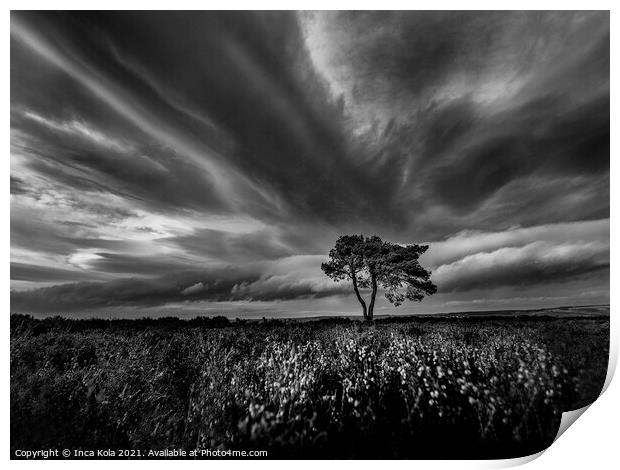 Egton Lonely Tree Under A Dramatic Sky Print by Inca Kala
